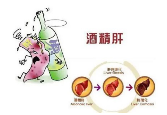 肝之殇：一个劳模器官的血泪控诉